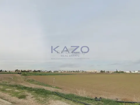 Expansive 6,501 m2 Residential Plot in Perivolia - 3