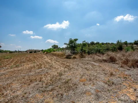 Field in Frenaros, Famagusta - 5