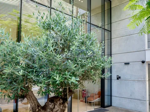 Contemporary Fully Furnished Commercial Building in City Center - 3
