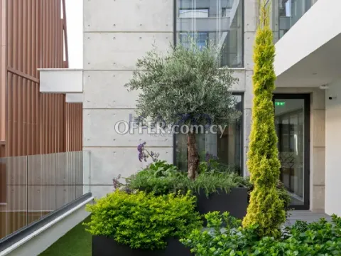 Contemporary Fully Furnished Commercial Building in City Center - 2
